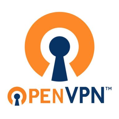 One of our Current Partner OpenVPN